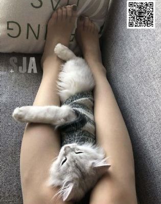 国产又猛又粗又爽又黄的视频_HD高清电影在线